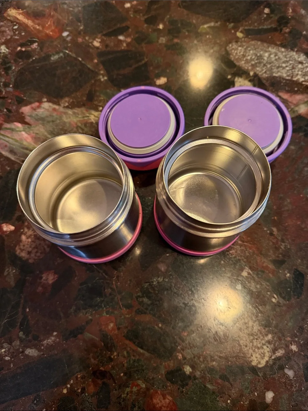 Pair of 2 Thermos Foogo Insulated Stainless Steel Food Jars
